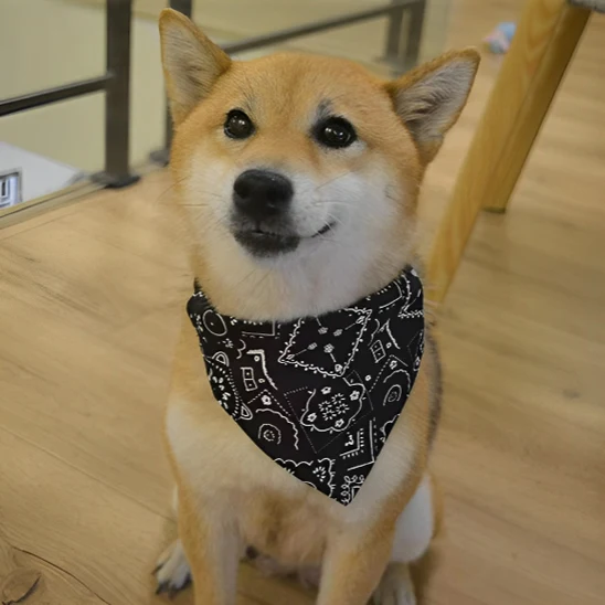 Bandana Pour Chien - Collier | FunzeePet™ – Image 7