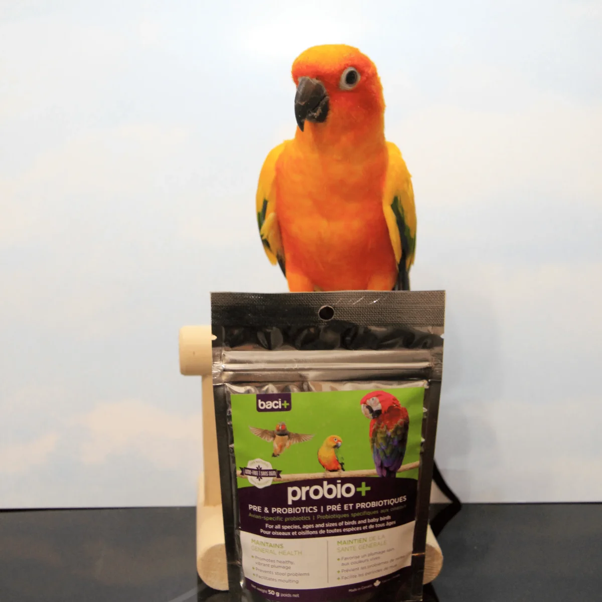 probio+ Santé digestive et immunité pour oiseaux – Image 3