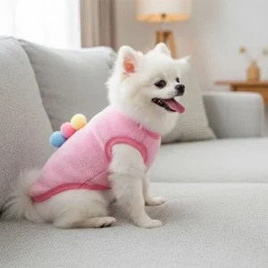 Pull pour petit chien | PawConfort